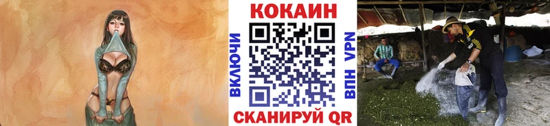 КОКАИН FishScale  Белокуриха 