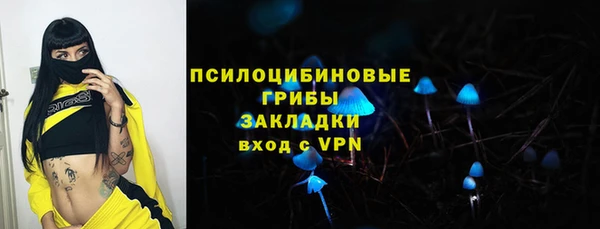 герыч Арсеньев