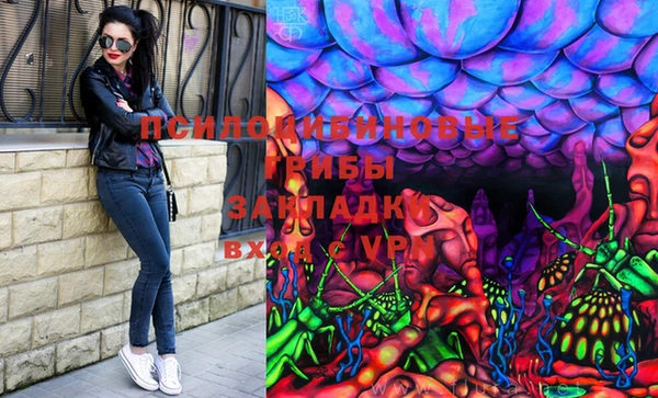 герыч Арсеньев