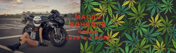 ГАЛЛЮЦИНОГЕННЫЕ ГРИБЫ Галич