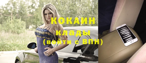 кокс Гатчина