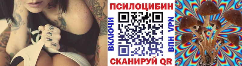 Псилоцибиновые грибы Magic Shrooms  купить наркотик  Белокуриха 