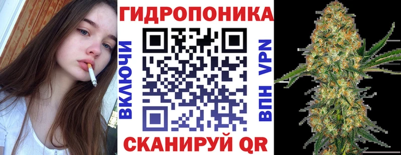 Канабис THC 21% продажа наркотиков Белокуриха
